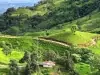 Adventus, Salazar granted key permit for Ecuador copper-gold mine