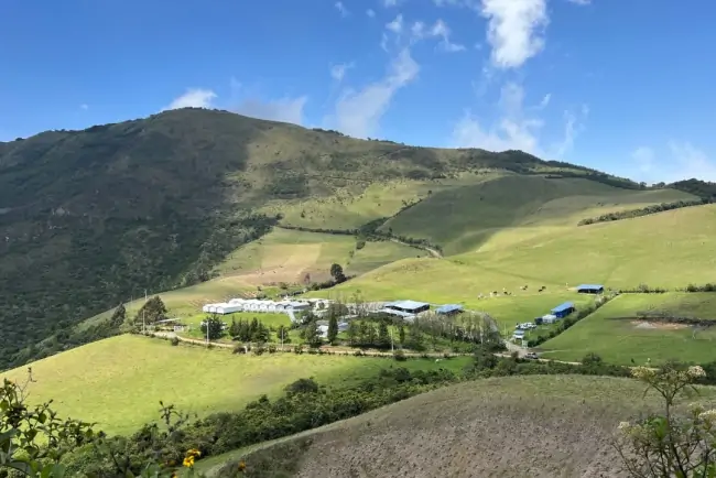 SolGold’s Cascabel copper mine licence renewed for 25 years