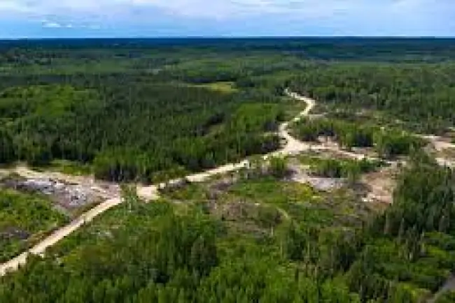 First Majestic upbeat on drill results from Mexico mines, Jerritt Canyon in Nevada