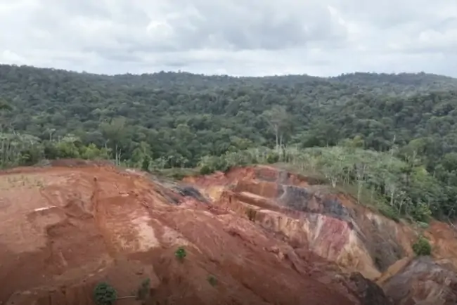 Founders Metals drills 12 metres of 19.2 g/t gold in Suriname, stock surges