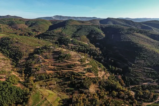 Savannah Resources raises US$20M for Barroso lithium project