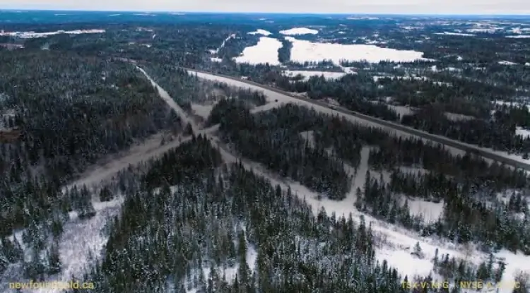 More high grades at New Found Gold’s Queensway project in Newfoundland
