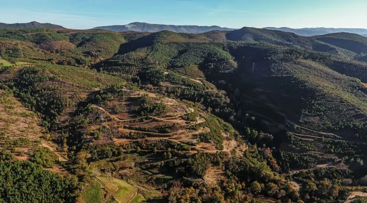 Savannah Resources raises US$20M for Barroso lithium project