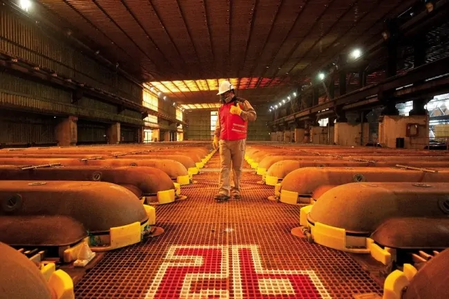 Chile to cut 2025 copper price forecast, WSJ reports