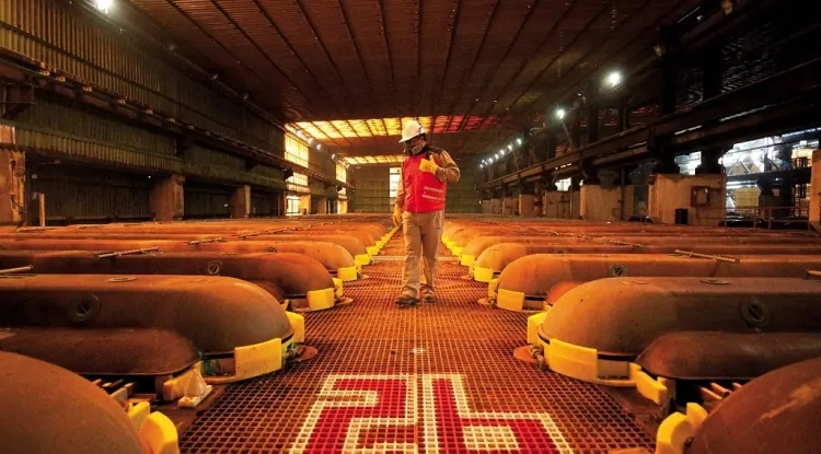 Chile to cut 2025 copper price forecast, WSJ reports