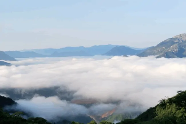 Torex expands North American presence with $26M acquisition of Reyna Silver