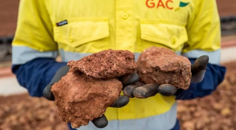 Guinea repossess 51 mining licences, information minister says