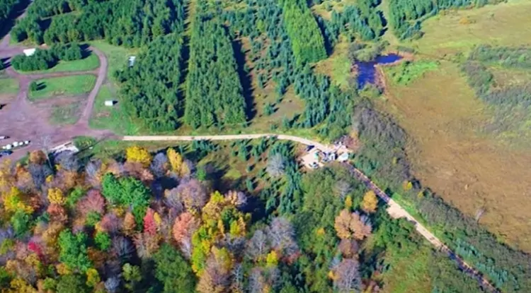 Talon Metals plummets as it prices financing at discount to fund nickel project