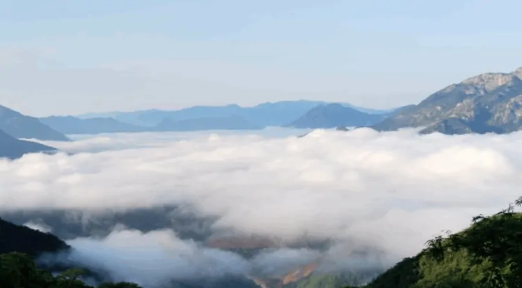 Torex expands North American presence with $26M acquisition of Reyna Silver